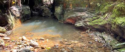 æ¡èåä¼éè¾²å ´