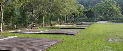 å±±æ¿æ¨µ-æ¥æ©å¤æ³é²çå