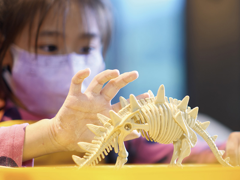 å¤§æ¿æ ¹æ£®ææº«æ³éåº