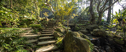 å¤§æ¿æ ¹æ£®ææº«æ³éåº