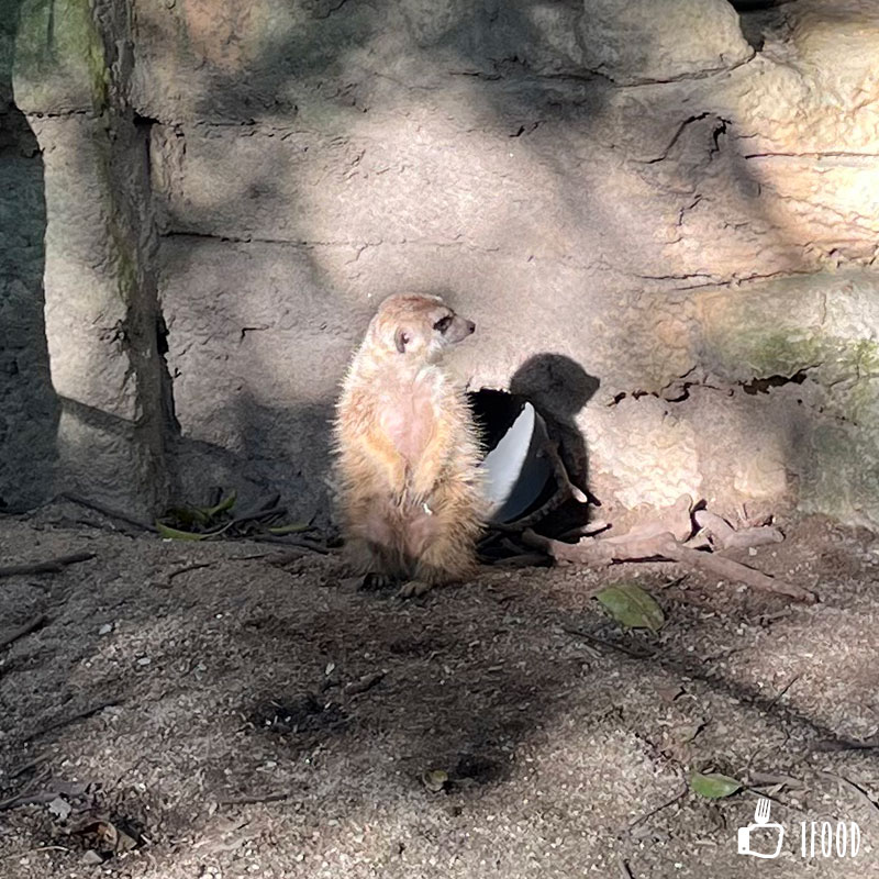 å°åŒ—å¸‚ç«‹å‹•ç‰©åœ’