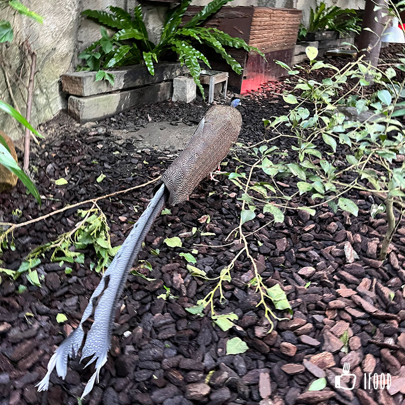 å°åŒ—å¸‚ç«‹å‹•ç‰©åœ’
