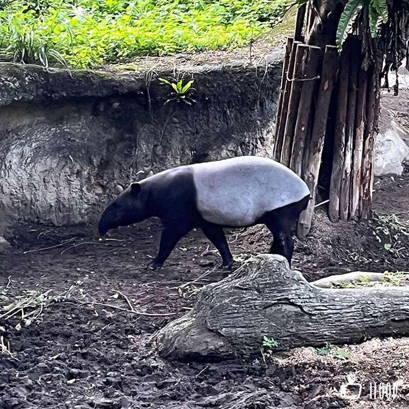å°åŒ—å¸‚ç«‹å‹•ç‰©åœ’