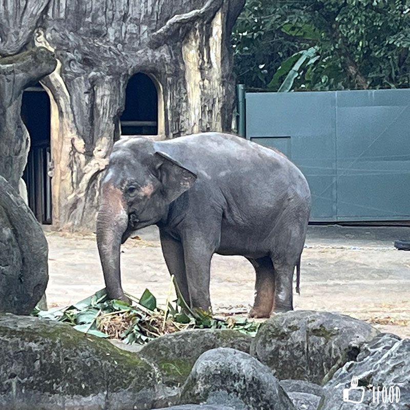 å°åŒ—å¸‚ç«‹å‹•ç‰©åœ’