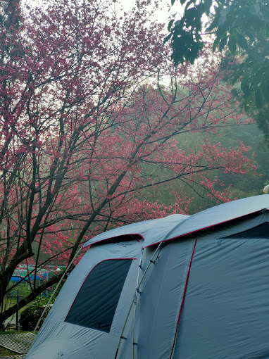 å°å²è·¯è¦ªå­é²çå