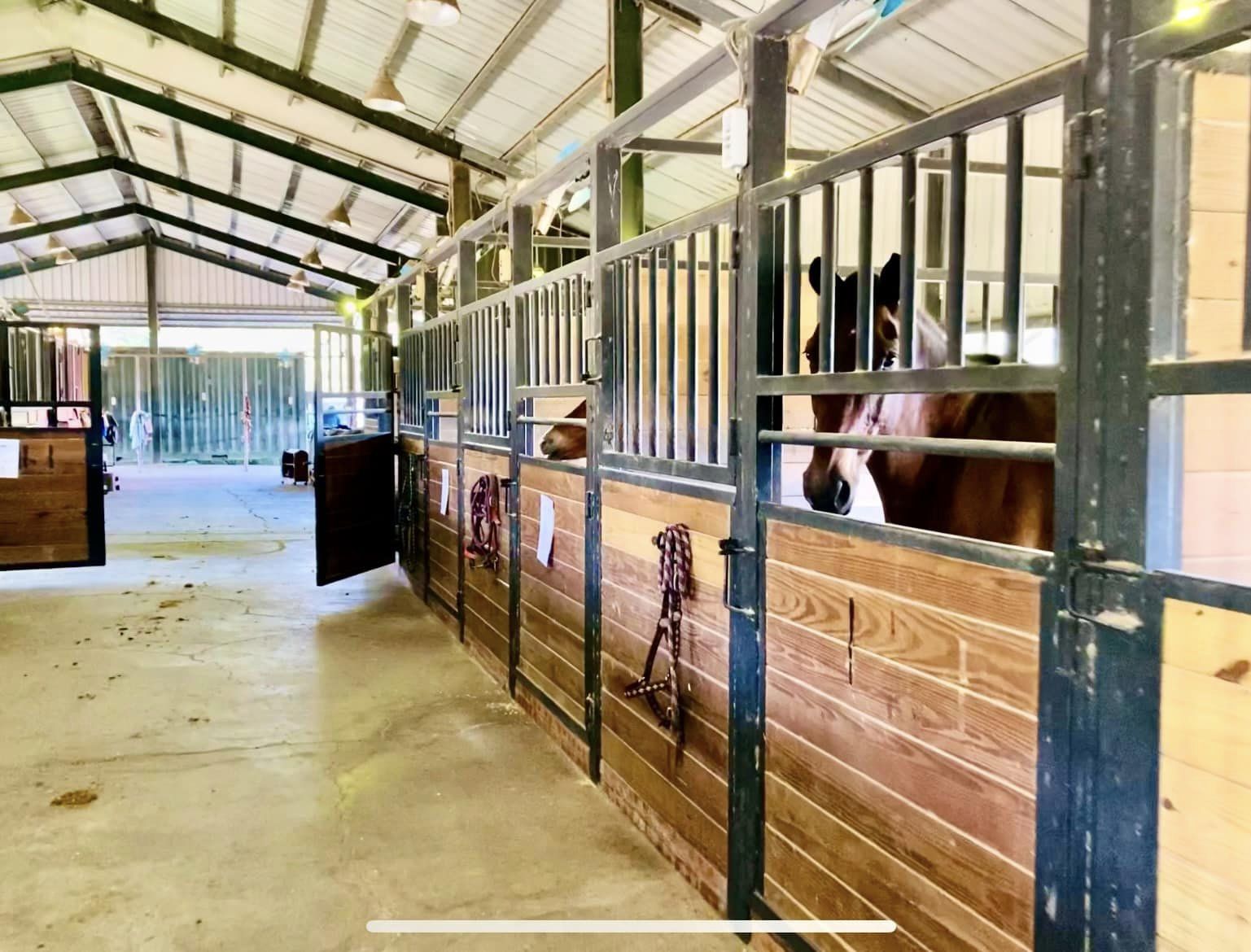 HappyHill.HorseFarm1