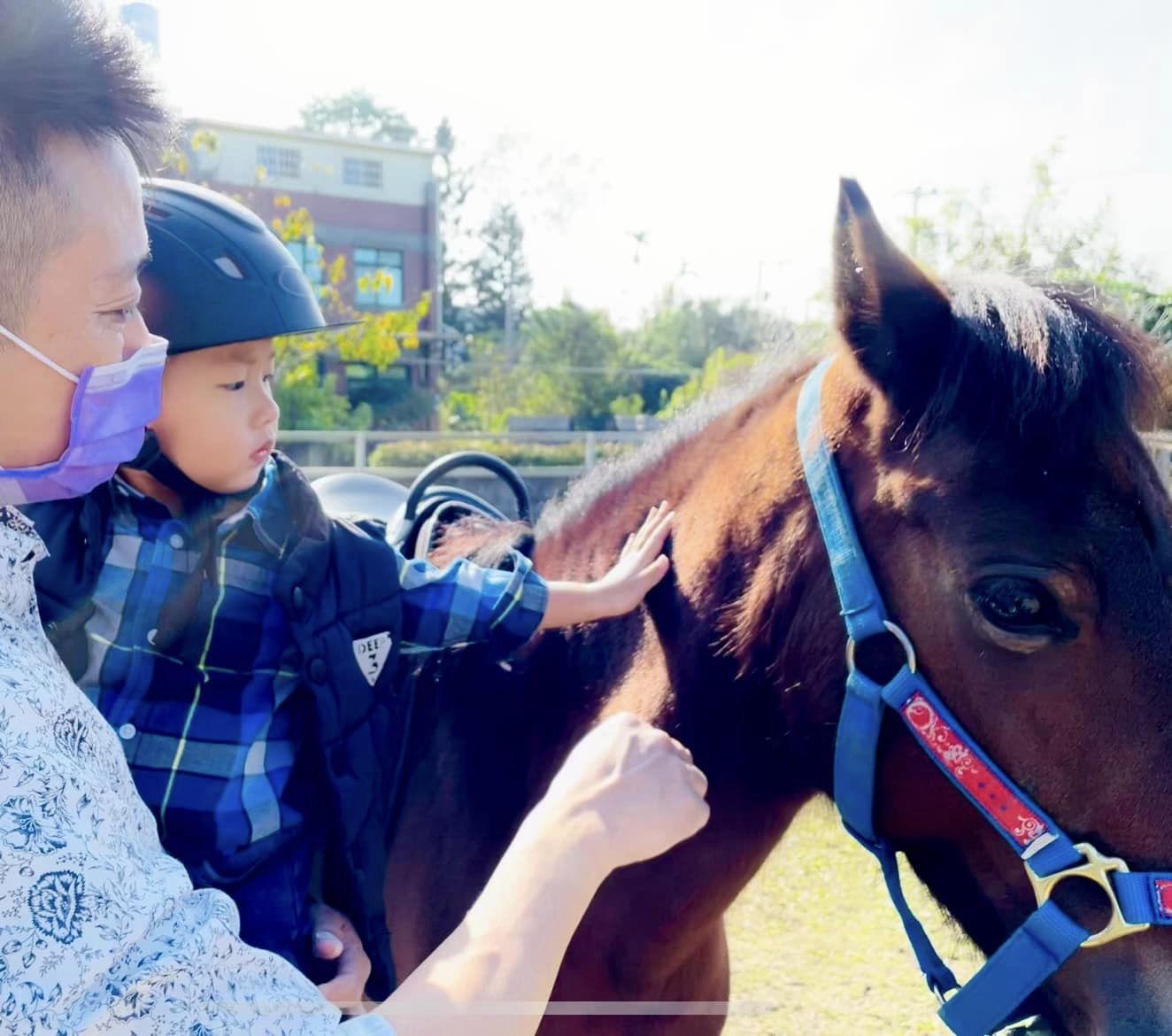 HappyHill.HorseFarm1