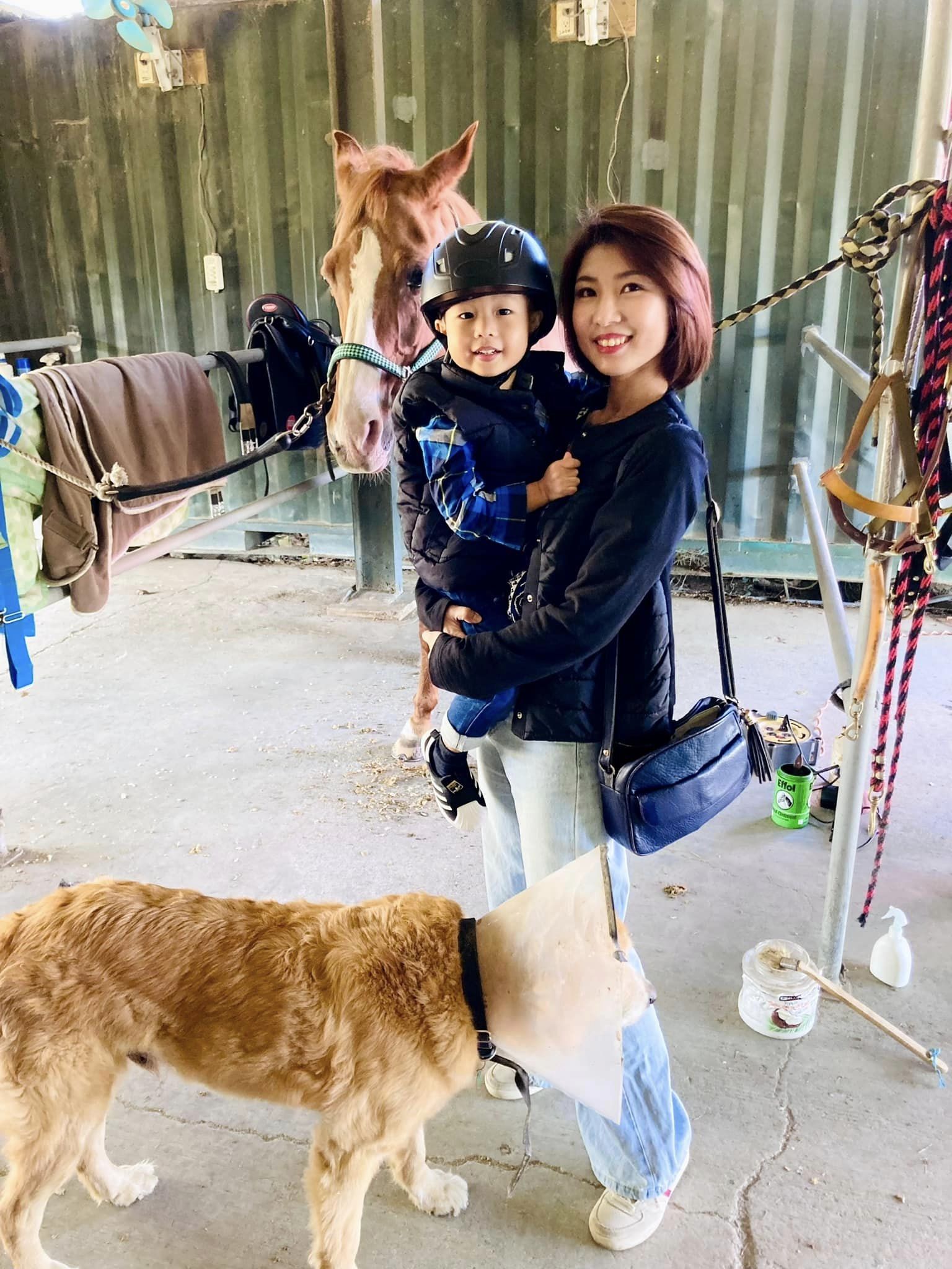 HappyHill.HorseFarm1