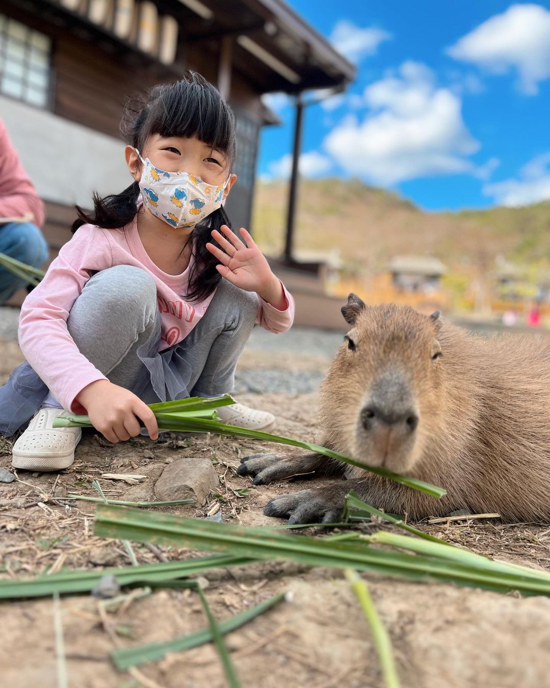 åéæºªæº«æ³å¬å-å¡æ¯åå