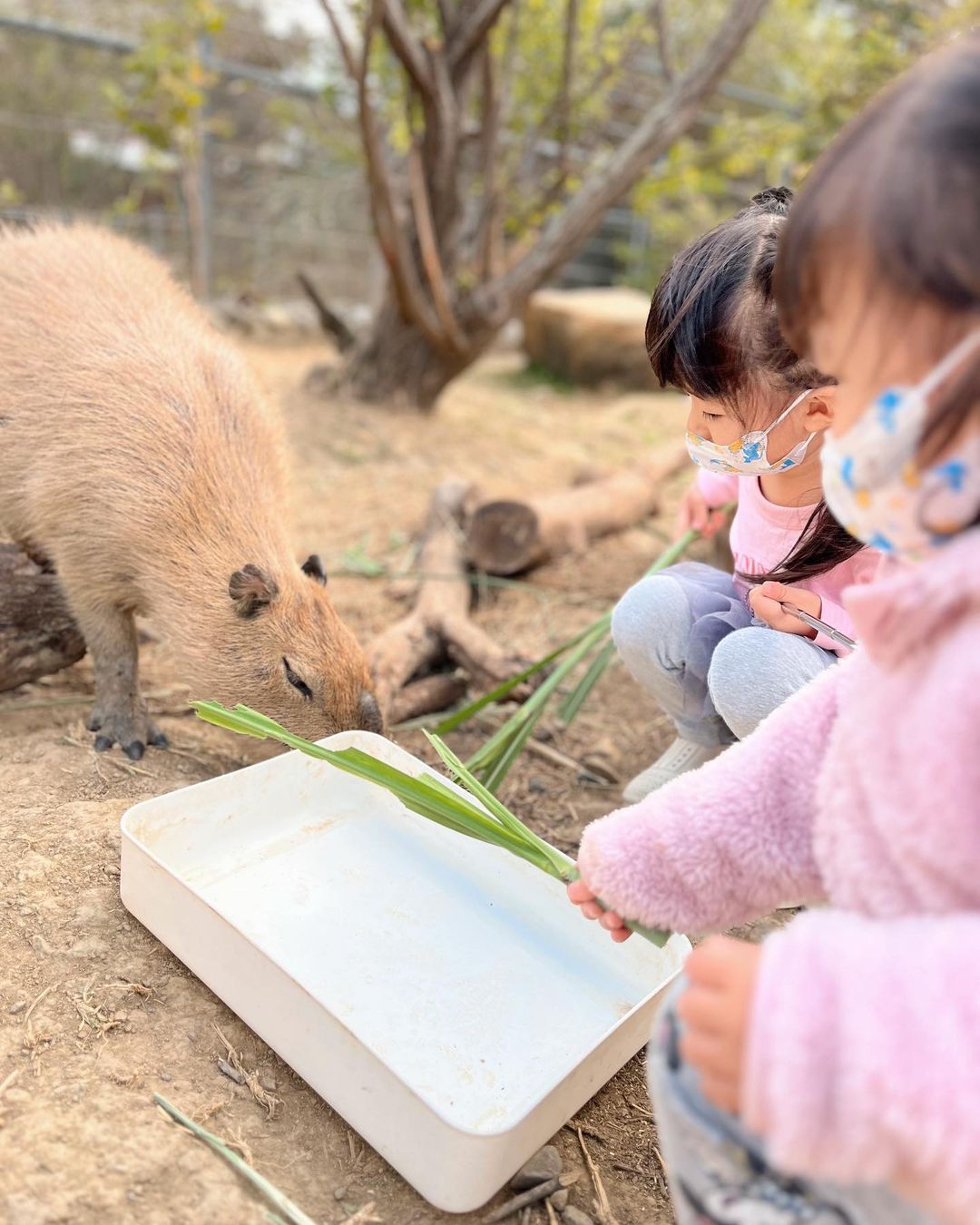 åéæºªæº«æ³å¬å-å¡æ¯åå