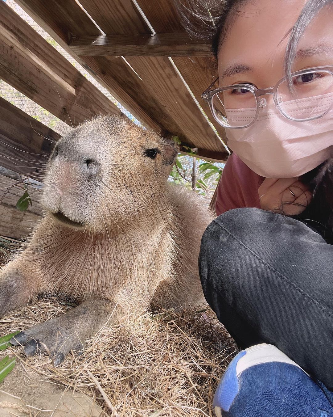 åéæºªæº«æ³å¬å-å¡æ¯åå