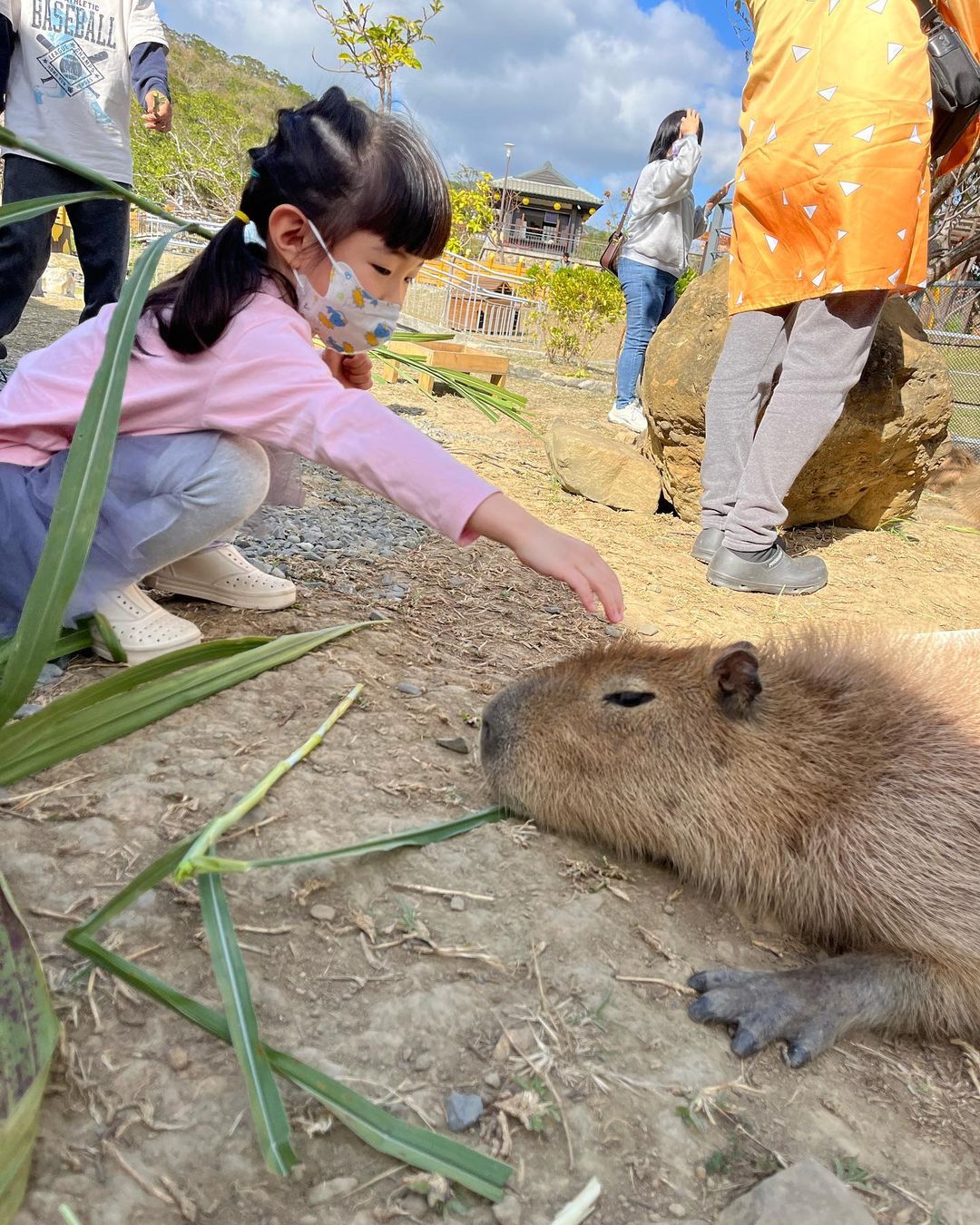 åéæºªæº«æ³å¬å-å¡æ¯åå