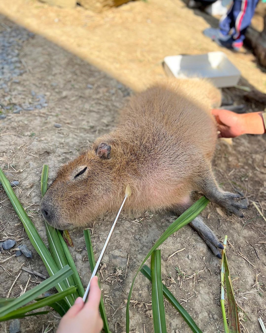 åéæºªæº«æ³å¬å-å¡æ¯åå
