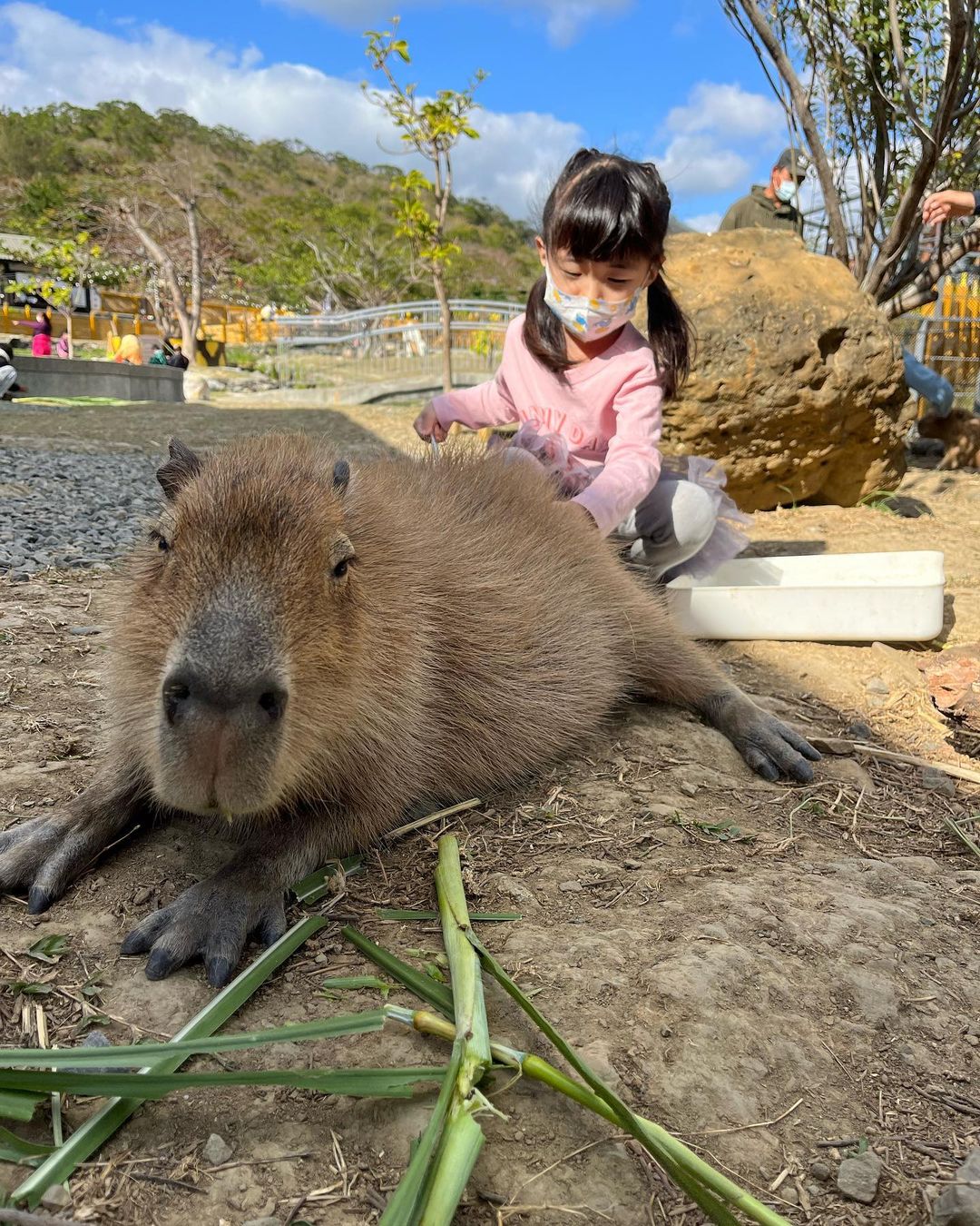 åéæºªæº«æ³å¬å-å¡æ¯åå