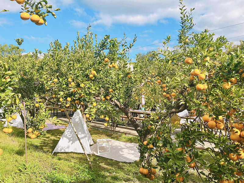 æ©é¦æ£®æ