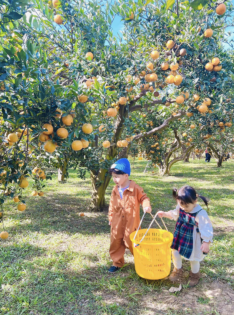 æ©é¦æ£®æ