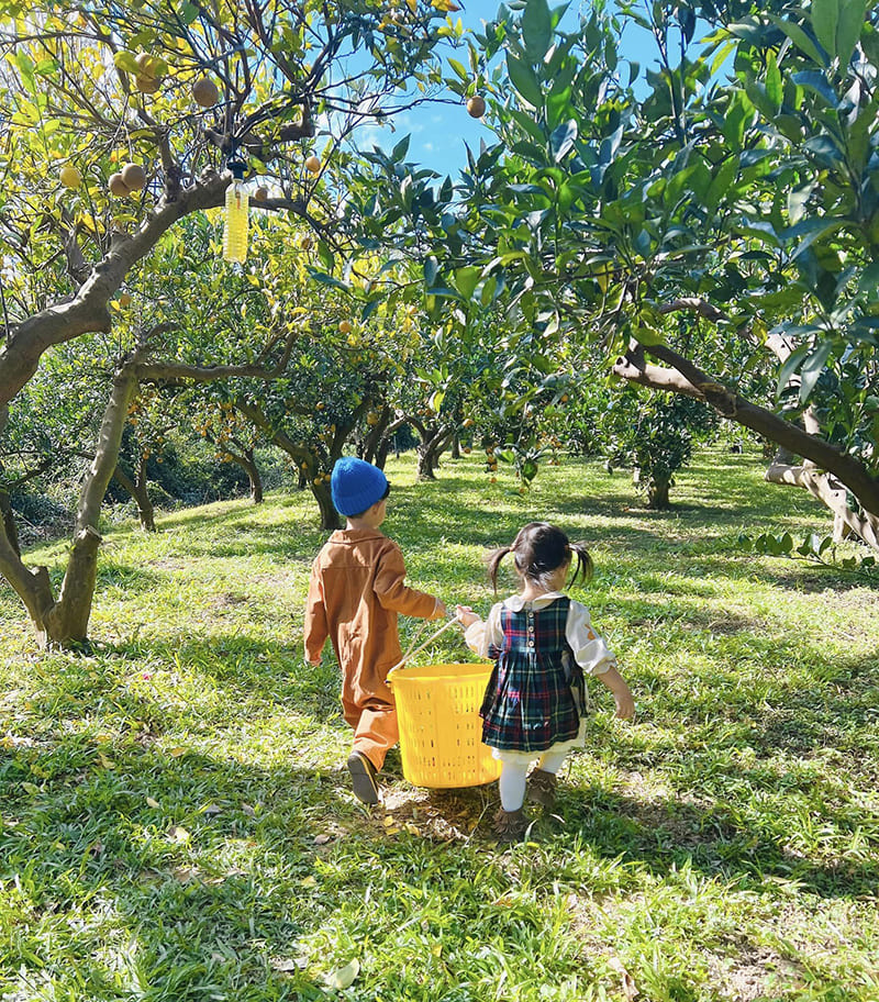 æ©é¦æ£®æ