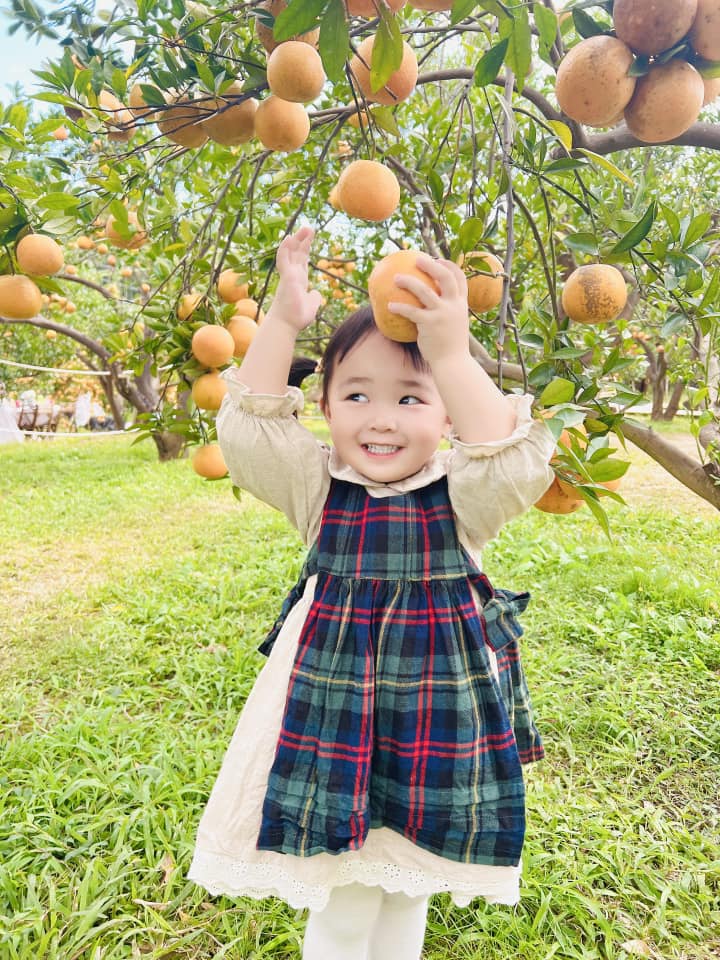 chenxiangorangeforest2