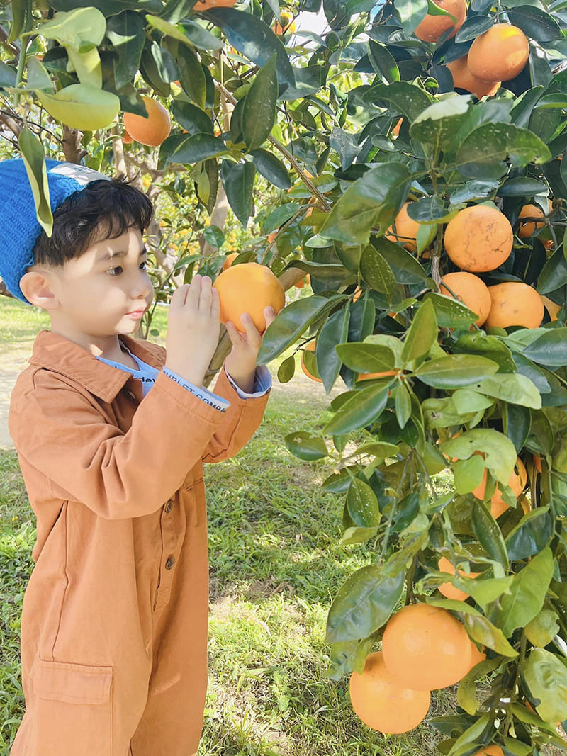 æ©é¦æ£®æ