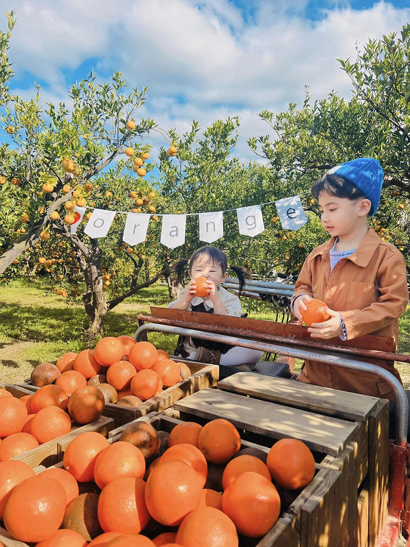 æ©é¦æ£®æ