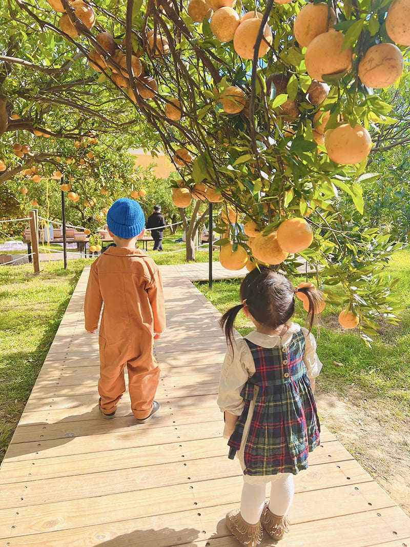 æ©é¦æ£®æ