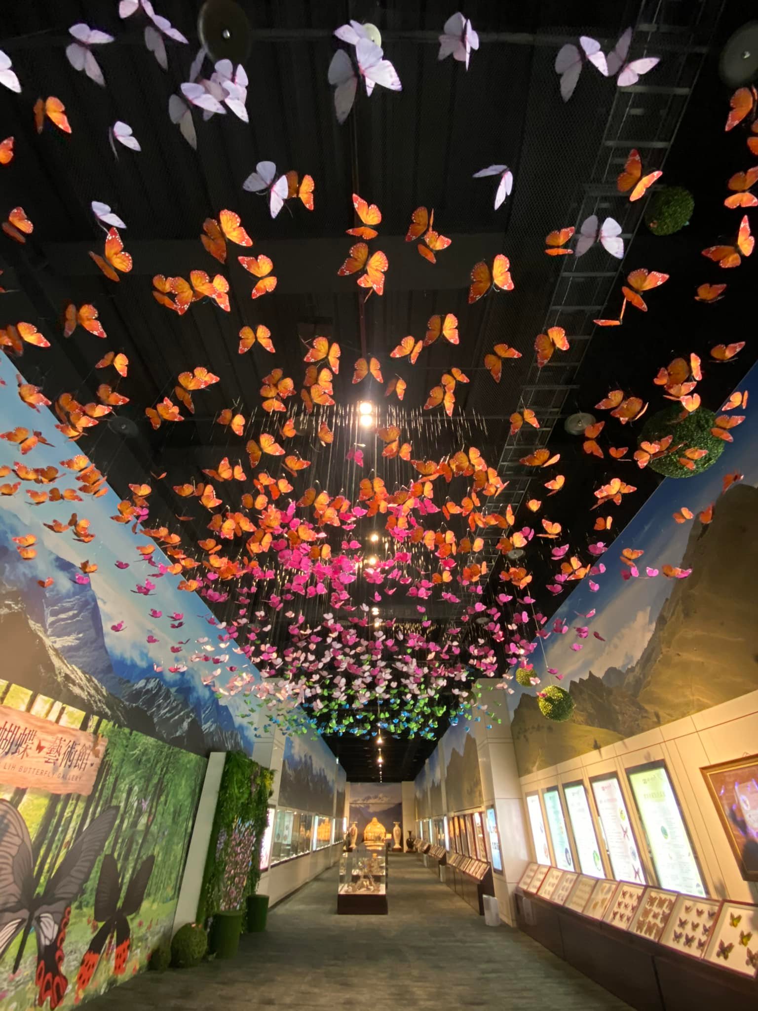 å®è­ç¶ºéºè§ååå