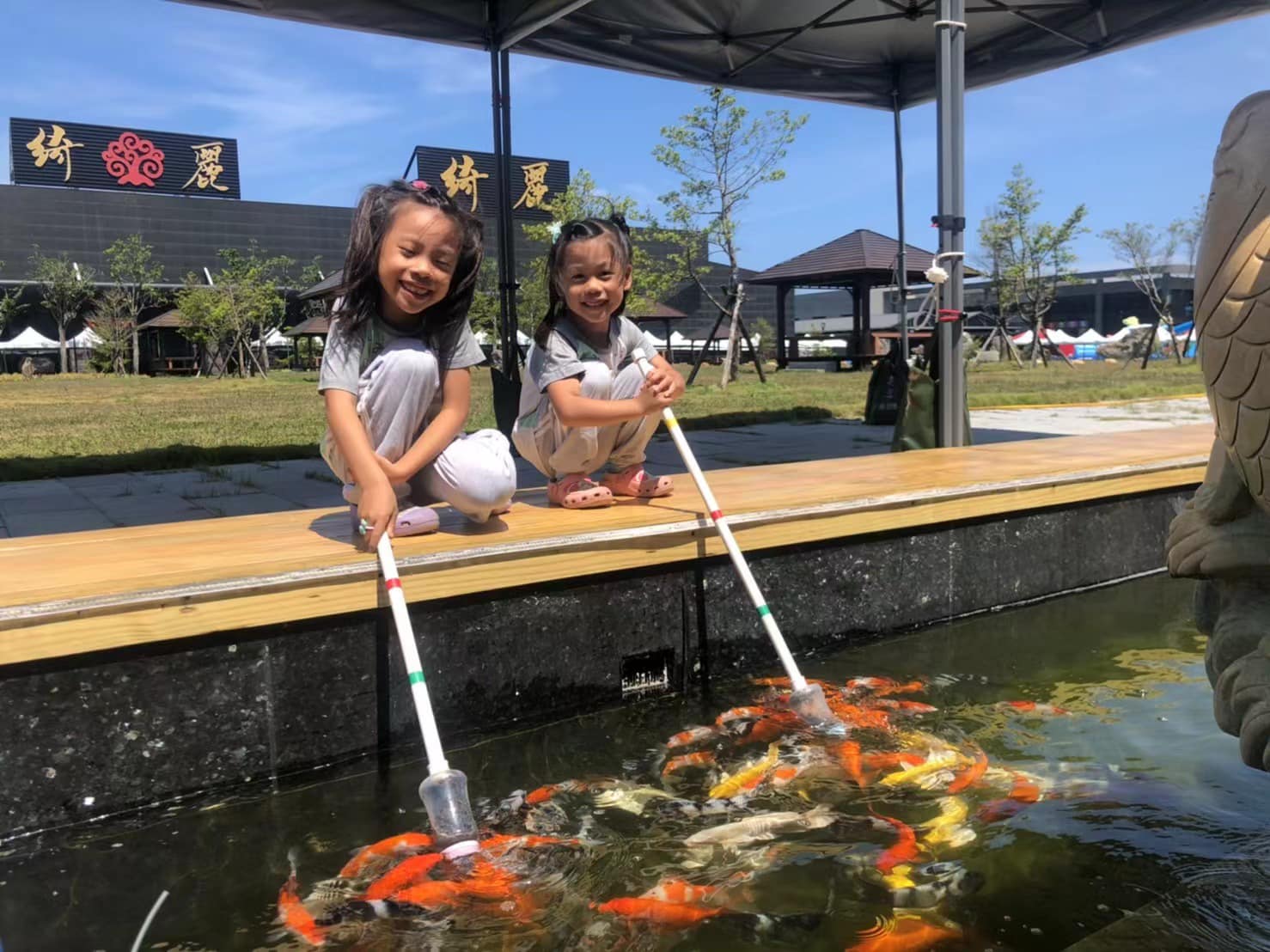 å®è­ç¶ºéºè§ååå