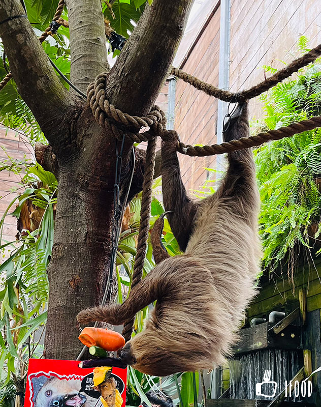 ç¶ ä¸ççæè¾²å ´-æ¨¹æ¶åæ±è¥¿