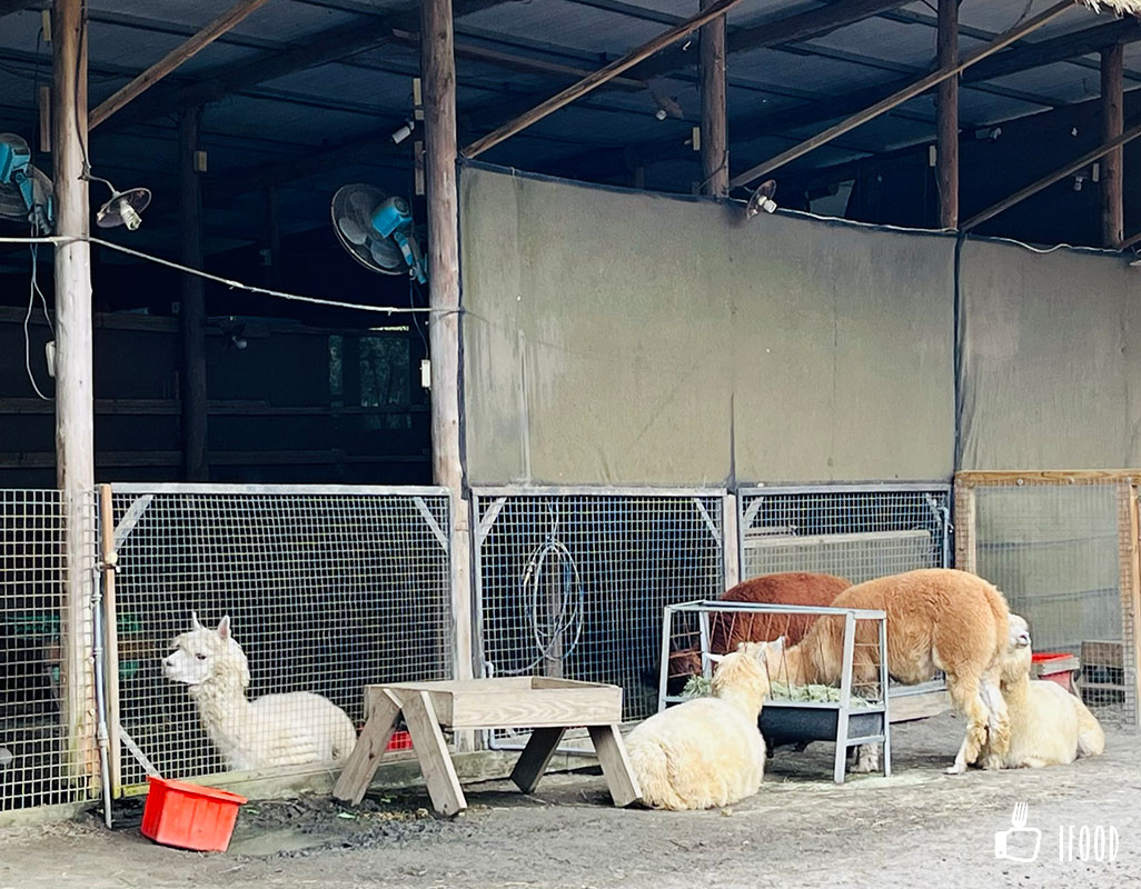ç¶ ä¸ççæè¾²å ´-ç¾é§ä¹å®¶
