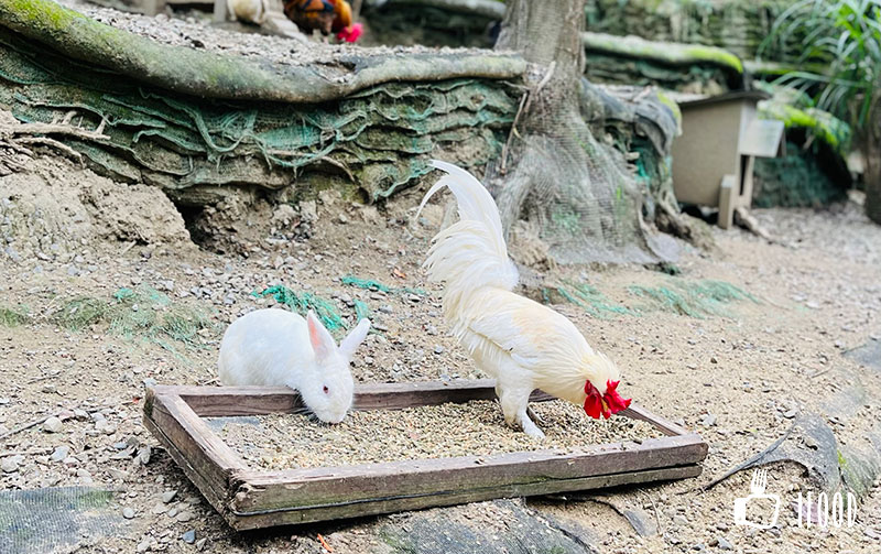 ç¶ ä¸ççæè¾²å ´-å¯æåç©å