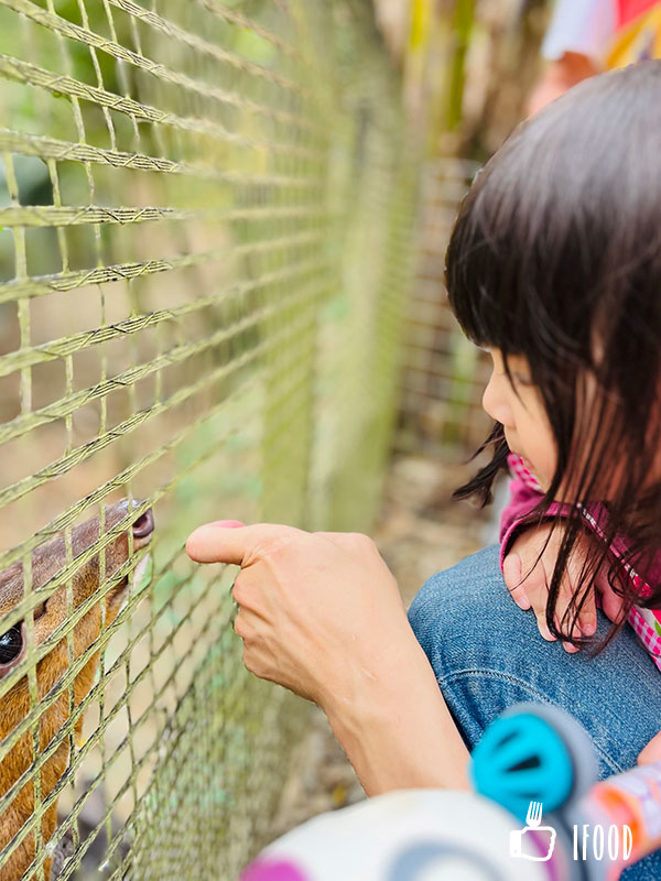 ç¶ ä¸ççæè¾²å ´-å±±ç¾