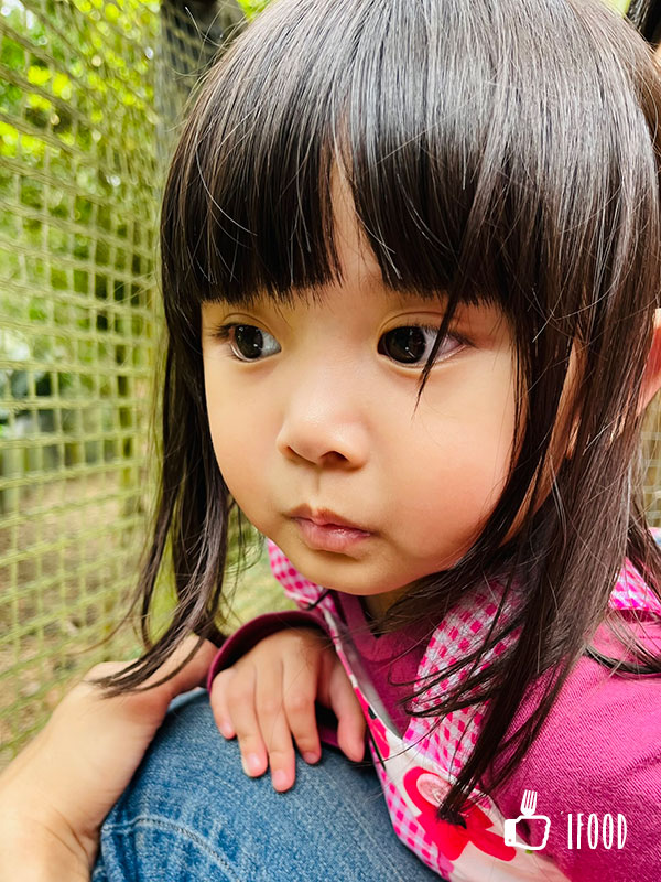 ç¶ ä¸ççæè¾²å ´-çç