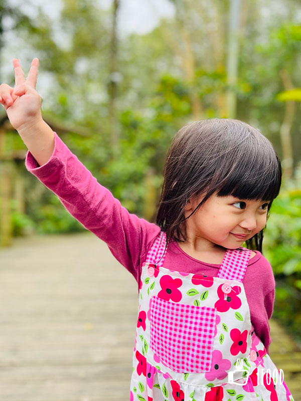 ç¶ ä¸ççæè¾²å ´-é³¥é¡çæå¬å