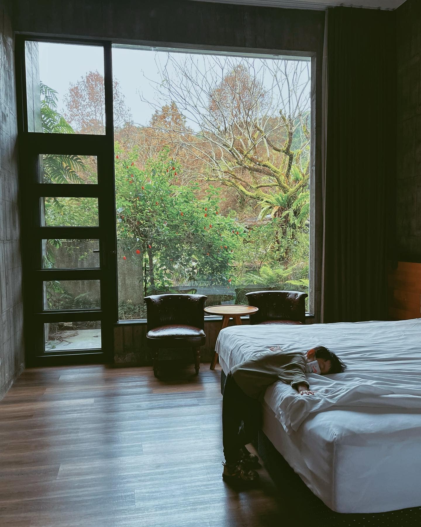 ç´«æ£®æ-ä¸å¯ä¼éè¾²å ´