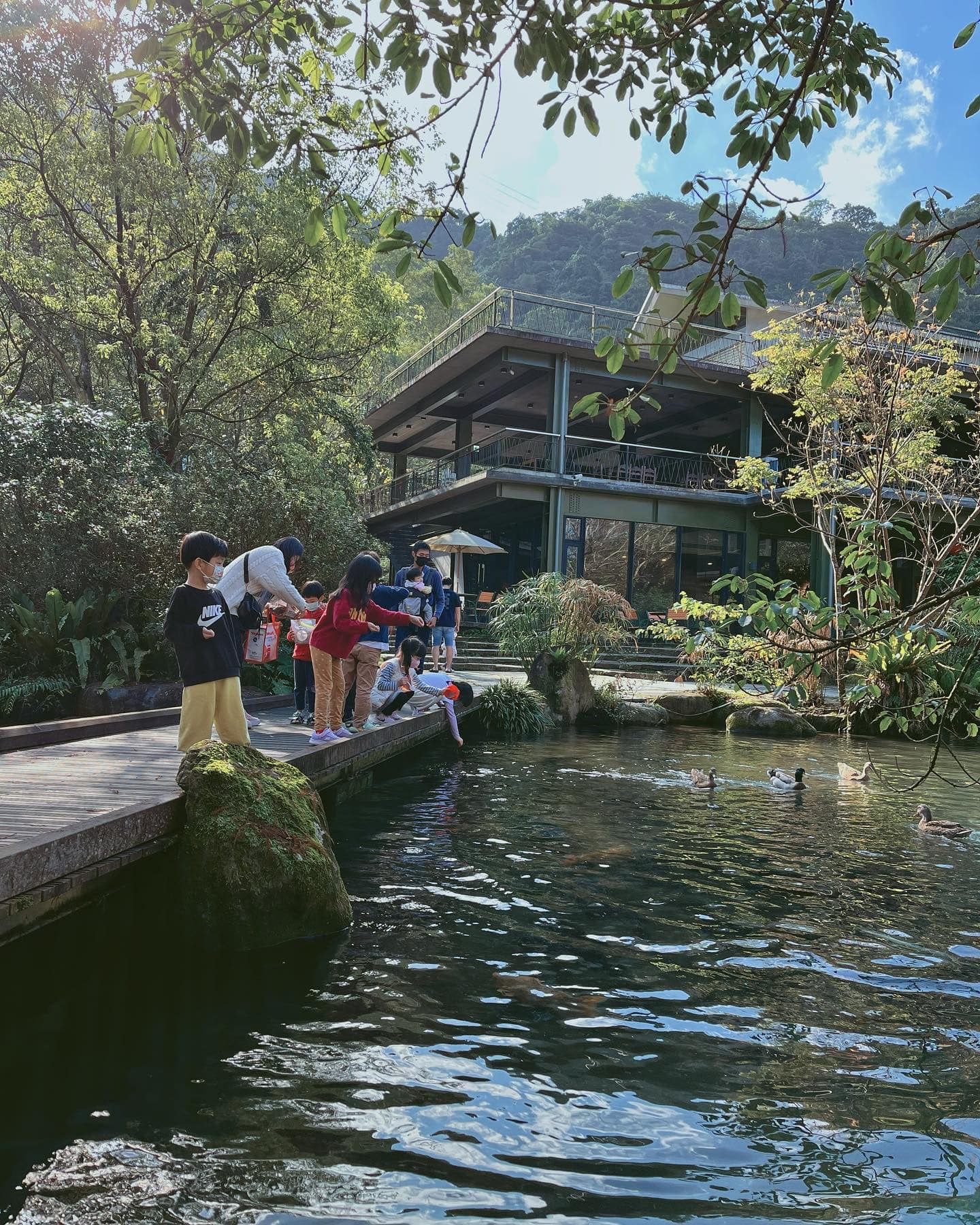 ç´«æ£®æ-ä¸å¯ä¼éè¾²å ´