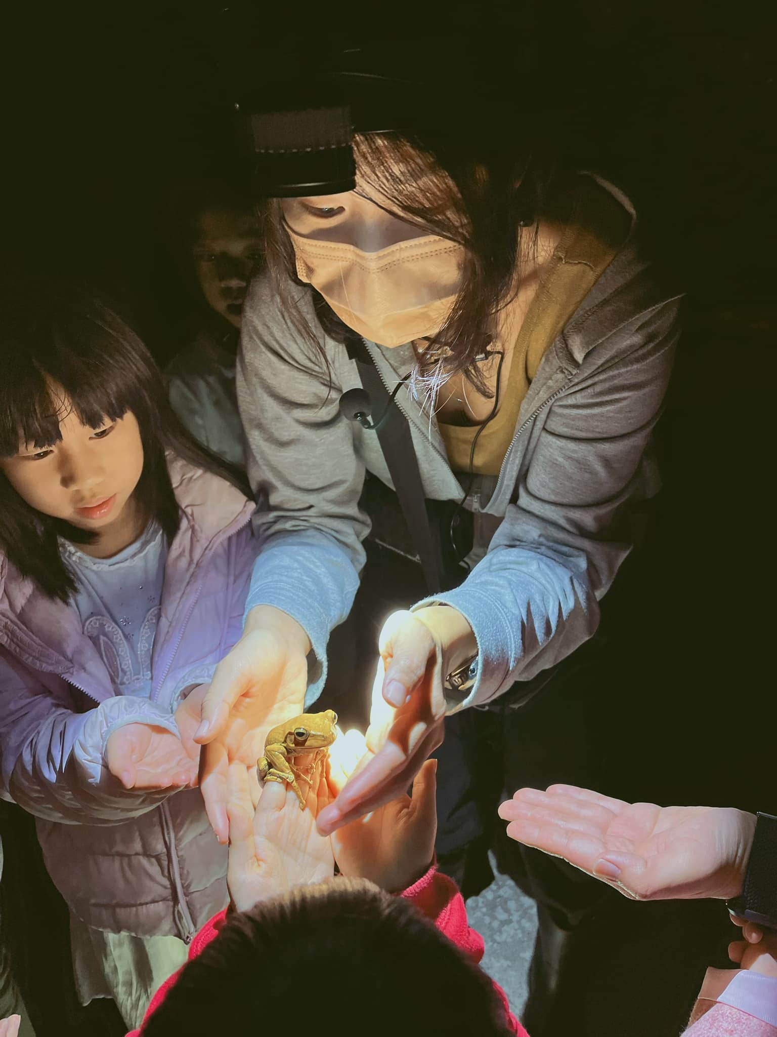 ç´«æ£®æ-ä¸å¯ä¼éè¾²å ´