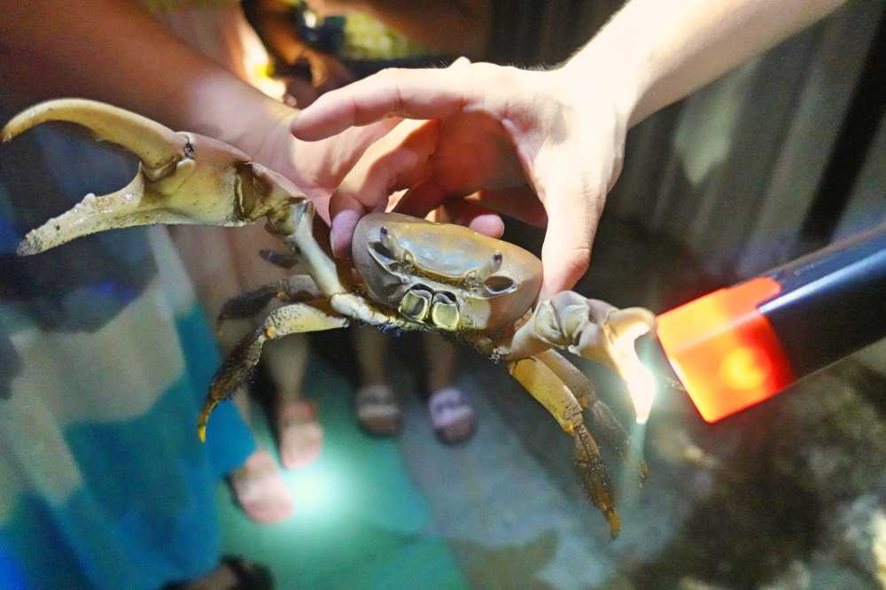 è¬èªª: å¤é½æ¼«æ¼« è±ªè¯é²çå