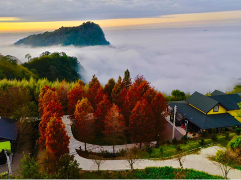 å¿æå°ç¯ è½ç¾½æ¾